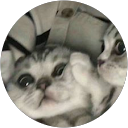 Luis Cabral profile picture